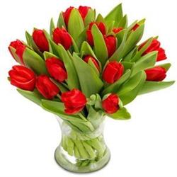Bukiet 10 20 30 50 czerwonych tulipanów na DZIEŃ KOBIET - Warszawa